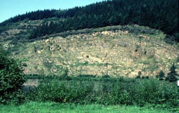 Aufgegebener Steinbruch bei Rönkhausen (Geologisches Profil)