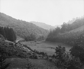 Bewaldetes Linnepetal oberhalb von Linnepe, undatiert, um 1920?