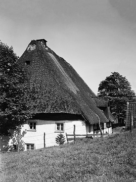 Strohbedachtes Bauernhaus: Der Wöstenhof im südlichen Versetal (späteres Talsperrenareal)