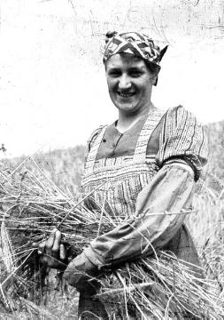 Bäuerin Agnes Stilper, eine von drei Schwestern Dümpelmann, bei der Erntearbeit