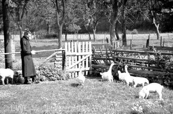 03_3234 Aus privaten Bildsammlungen: Das Dorf Lenne und Hof Dümpelmann in Fotografien des Fabrikanten Ernst Fastenrath, 1942/1943 (Slg. Dümpelmann)