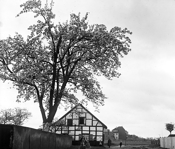 Fachwerkhaus mit blühendem Obstbaum
