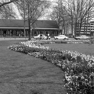 Blumenbeete im Kurpark mit Blick auf das Sanatorium in Bad Waldliesborn