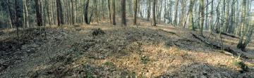 Tiergarten Sassenberger Brook: "Kaninchenhügel", Aussichtspunkt und Endpunkt einer Jagdallee im einstigen fürstbischöflichen Jagdpark (17.  Jh.)