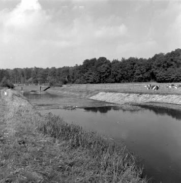 Telgte-Westbevern, 1970: Bever mit Stauwehr und Balkenbrücke bei Haus Langen