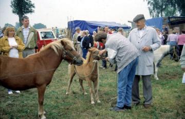 Pferdemarkt Telgte,1992: Begutachtung eines Ponyfohlens