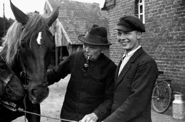 Ein Pferd wird begutachtet, Bauer Schweers mit einem polnischen Kriegsgefangenen
