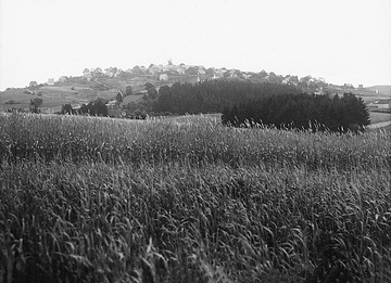 Blick über Kornfelder auf die Ortschaft Hirschberg
