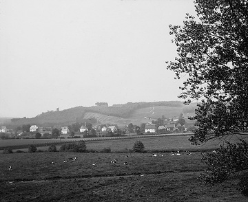 Viehweiden im Möhnetal bei Niederbergheim/Allagen