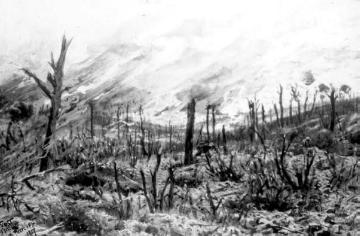 Gemälde - Kriegsschauplatz Somme (Frankreich) 1916: Zerstörter St. Pierre Vaast-Wald östlich von Rancourt