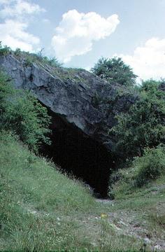 Der Hohle Stein bei Kallenhardt, Haupteingang zur Höhle im Grauwacke-Gestein