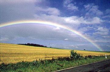 Regenbogen über einem Rapsfeld im Hochsauerland
