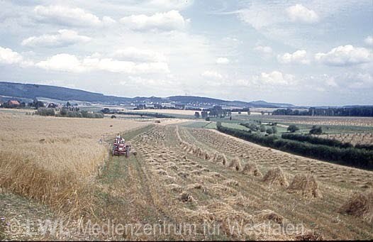 05_3553 Altkreise Höxter und Warburg 1950er bis 1970er Jahre
