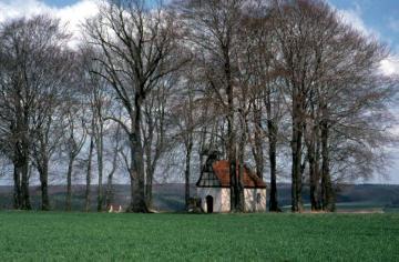 Buchengruppe (ND) mit Schonlau-Kapelle, Überbleibsel des mit Gründung Dringenbergs um 1323 aufgelösten Dorfes Schonloe, um 1780 wieder hergerichtet - Aussenkanzel von 1675