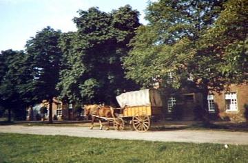 Pferdefuhrwerk auf Dorfstraße in Marienfeld