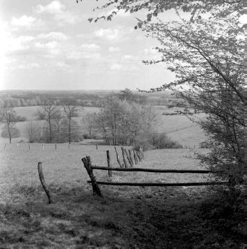 Landschaft der Baumberge zwischen Havixbeck und Nottuln, 1958