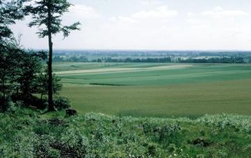 Landschaft der Baumberge zwischen Havixbeck und Nottuln, 1958 - Blick Richtung Westen