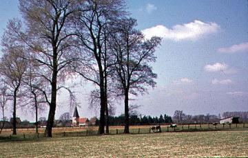 Viehweide mit Blick auf Mönninghausen