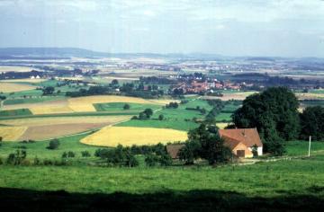 Blick vom Bellenberg östlich Bad Meinberg in die Steinheimer Börde