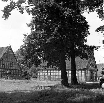 Hof Rohlfing, erbaut 1776: Bauernhof mit Fachwerkgebäuden in Preußisch Ströhen, undatiert, Ende 1930er Jahre?