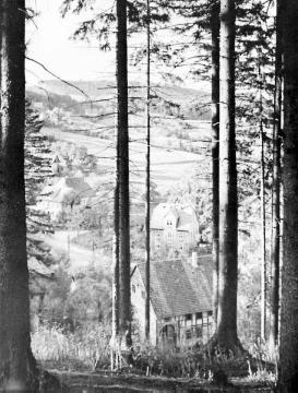 Blick vom Ortsrand von Berlebeck in Richtung Hermannsdenkmal