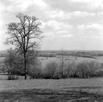 Landschaft der Baumberge zwischen Havixbeck und Nottuln, 1958