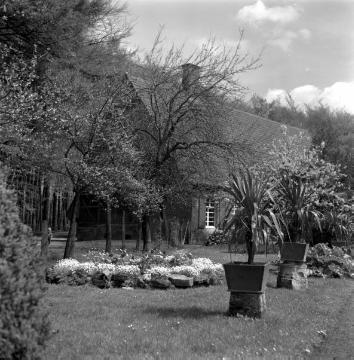 Bauernhof in den Baumbergen zwischen Havixbeck und Nottuln, 1958