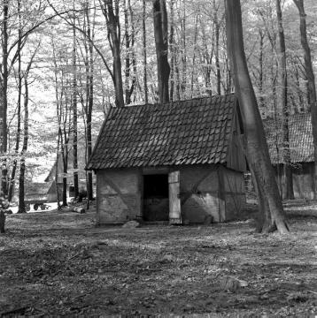 Brunnenhaus eines Bauernhofes in den Baumbergen zwischen Havixbeck und Nottuln, 1958
