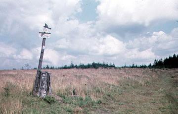 Wegweiser an einem Baumstumpf auf dem Kindelsberg (618 m)
