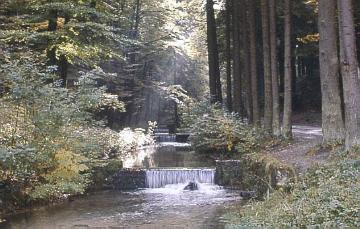 Das Quellgebiet der Berlebecke im Teutoburger Wald