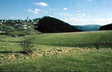 Blick auf Eversberg im Arnsberger Wald von Nord-Westen