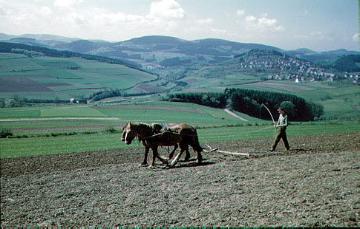 Bauer mit Pferdegespann bei der Feldarbeit mit Blick ins Mescheder Bergland