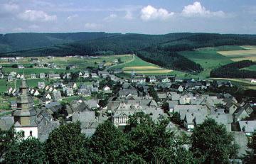 Blick vom Eversberger Stadtwald auf Eversberg 