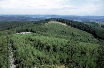 Blick vom Kindelsberg (618 m) nach Nordosten