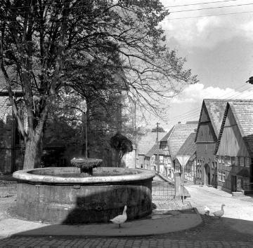 Nieheim, 1952: Altstadtviertel mit ehemaligem Stadtbrunnen ("Kump") an der St. Nikolaus-Kirche