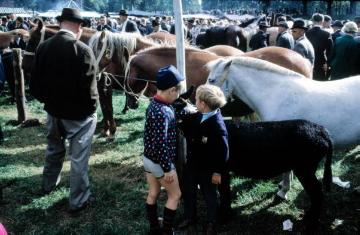 Pferdemarkt Telgte, 60er Jahre: Kinder in der Ponyabteilung