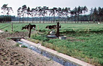 In der Senne: Betonierter Abwassergraben in den Rieselfeldern bei Storchkrug