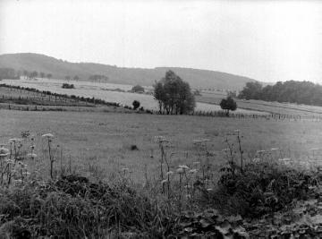 Bei Nottuln: Ackerfluren im Stevertal am Fuße der Baumberge, 1940er Jahre