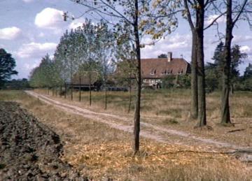 Blick über einen Feldweg auf Haus Rüschhaus