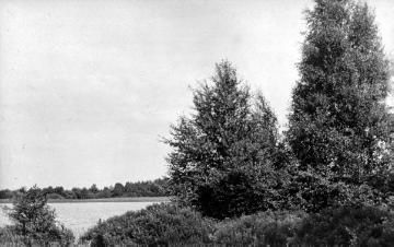 Das "Heilige Meer" in der Moor-, Heide- und Teichlandschaft zwischen Hopsten und Recke, seit 1930 Naturschutzgebiet, als Außenstelle betreut durch das LWL-Museum für Naturkunde, Münster (undatiert, um 1930?)