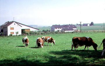 Neusiedlerhöfe, errichtet im Zuge der Aussiedlung von 44 Bauern aus dem Stadtgebiet in die Briloner Hochfläche 1958-1966