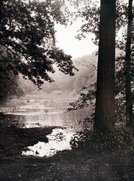 Der Brandscheren-Teich, Bad Waldliesborn