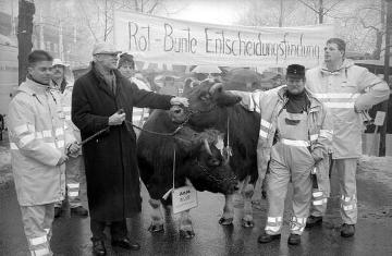 Lüdenscheid, Febuar 1999: LWL-Demonstration gegen die Auflösung des Landschaftsverbandes: Straßenbauarbeiter mit zwei Kühen aus dem Bergischen Freilichtmuseum. Am 1.2.1999 tagte die Landtagsfraktion der Sozialdemokratischen Partei Deutschlands SPD in Lüdenscheid zur geplanten Auflösung der Landschaftsverbände Rheinland und Westfalen.