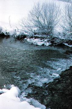 Partie der winterlichen Odeborn bei Girkhausen, 22 km langer Nebenfluss der Eder