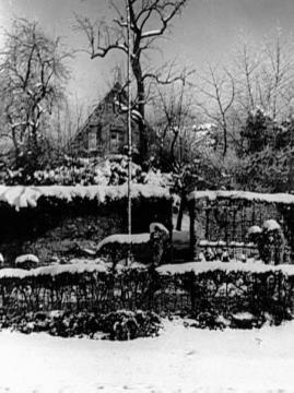 Figurenhecke an der Westerholtschen Wiese und die alte Stadtmauer mit Buchholtz Garten, um 1930?