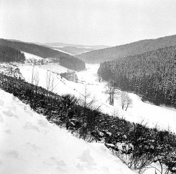 Winterlandschaft am Dödesberg (611 m) bei Girkhausen