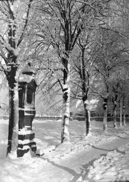 Winterlicher Prozessionsweg von Münster nach Telgte - Wegeabschnitt in Münster-Mauritz. Undatiert, 1930er Jahre?