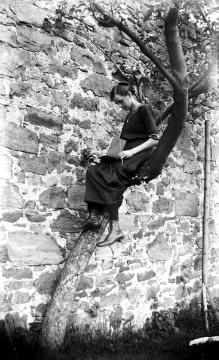 Lesende Frau auf einem Baum - Familien- oder Freundeskreis des Fotografen Julius Gärtner
