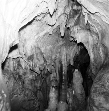 Tropfsteinformation in einer Höhle bei Warstein