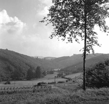 Das Biggetal bei Kessenhammer vor dem Bau der Biggetalsperre 1957-1965